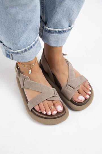 Taupe