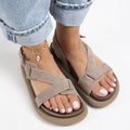  Taupe